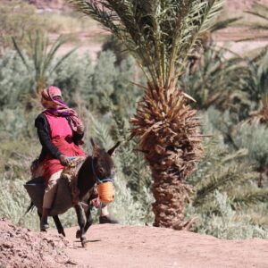 Marokko_Frau auf Esel